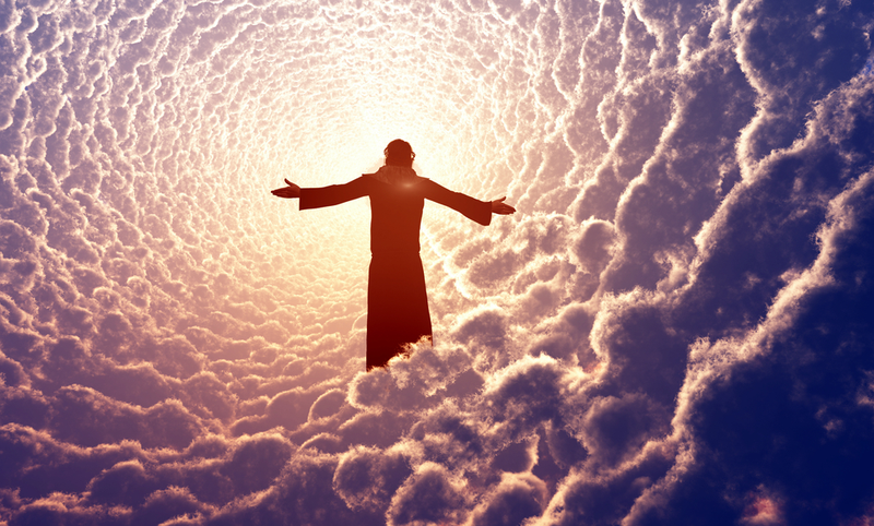Imagen: Iuri / Shutterstock